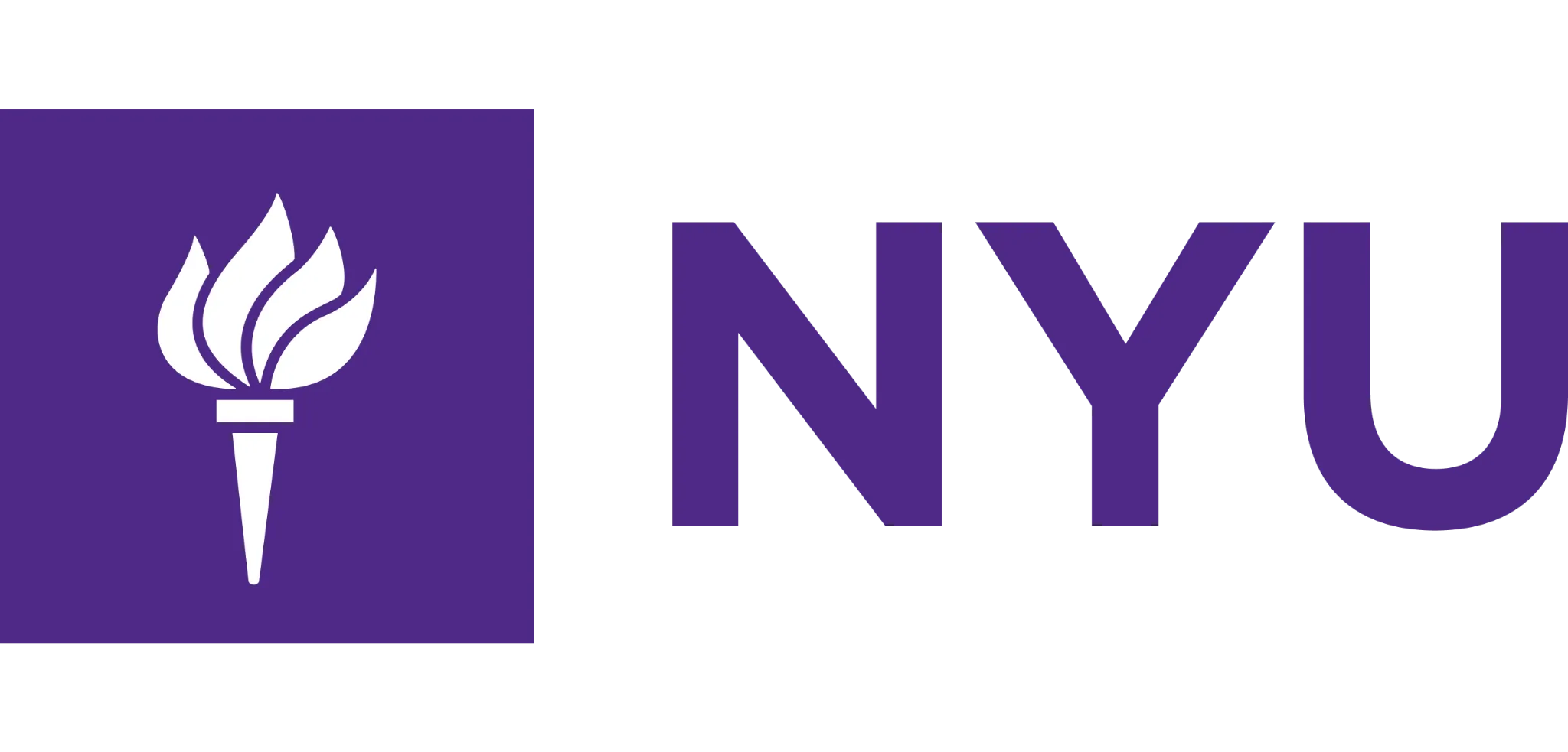 NYU Stern School of Business university logo