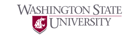 Washington state university logo